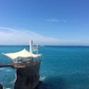 Meet your Posher, Harrison